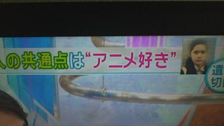 Illustration for article titled Accused Murderer and Victim Both "Liked Anime"